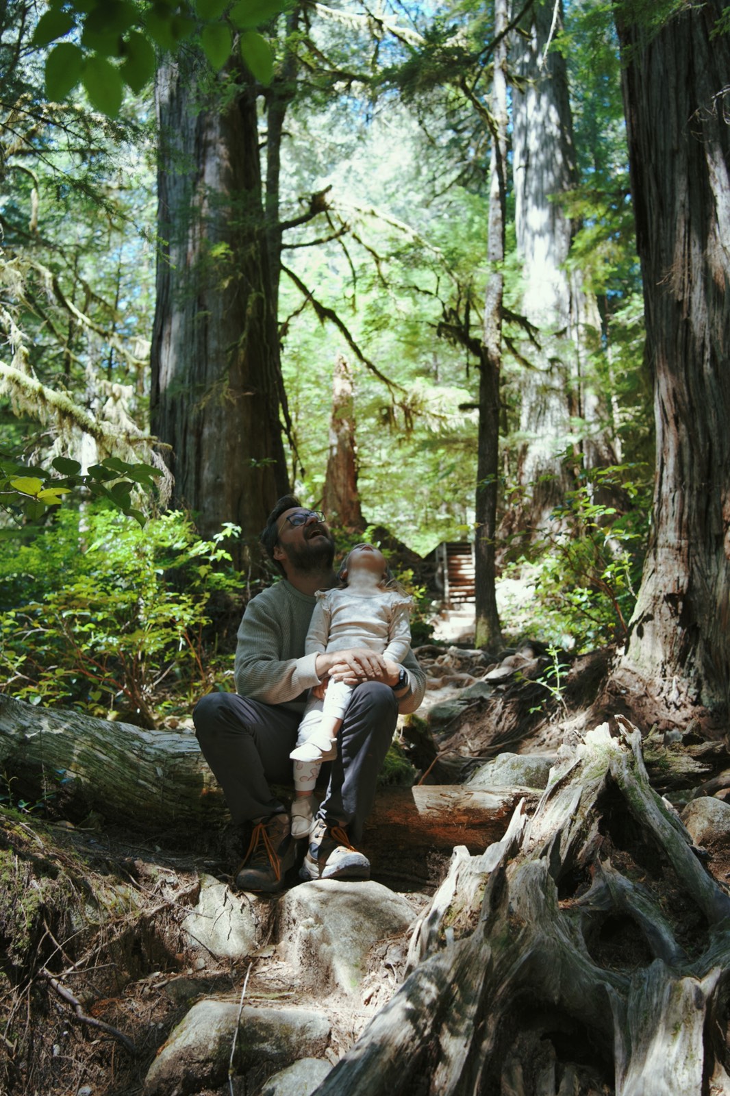 Francis and his daughter looking up at old growth cedars